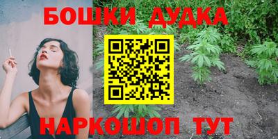 СК Донецк