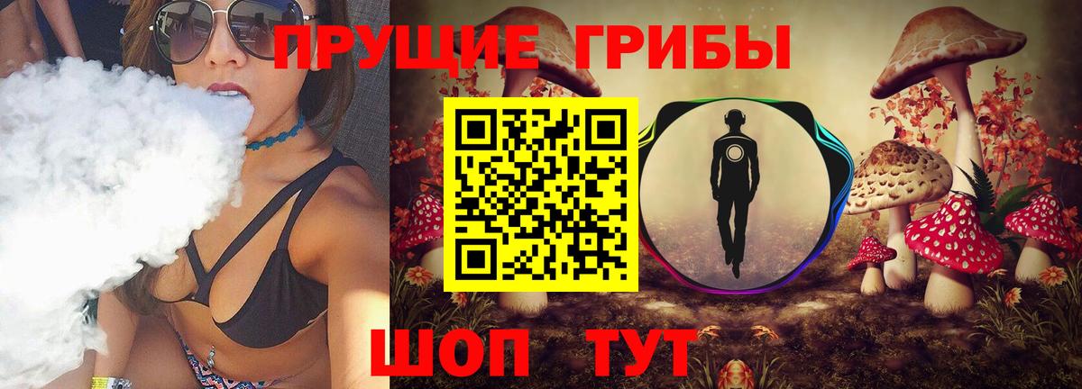 Заречный  Галлюциногенные грибы Cubensis  Вход с VPN 